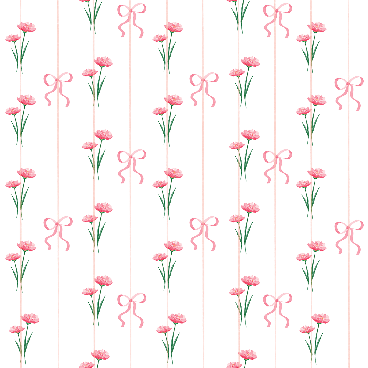 Pink Carnation