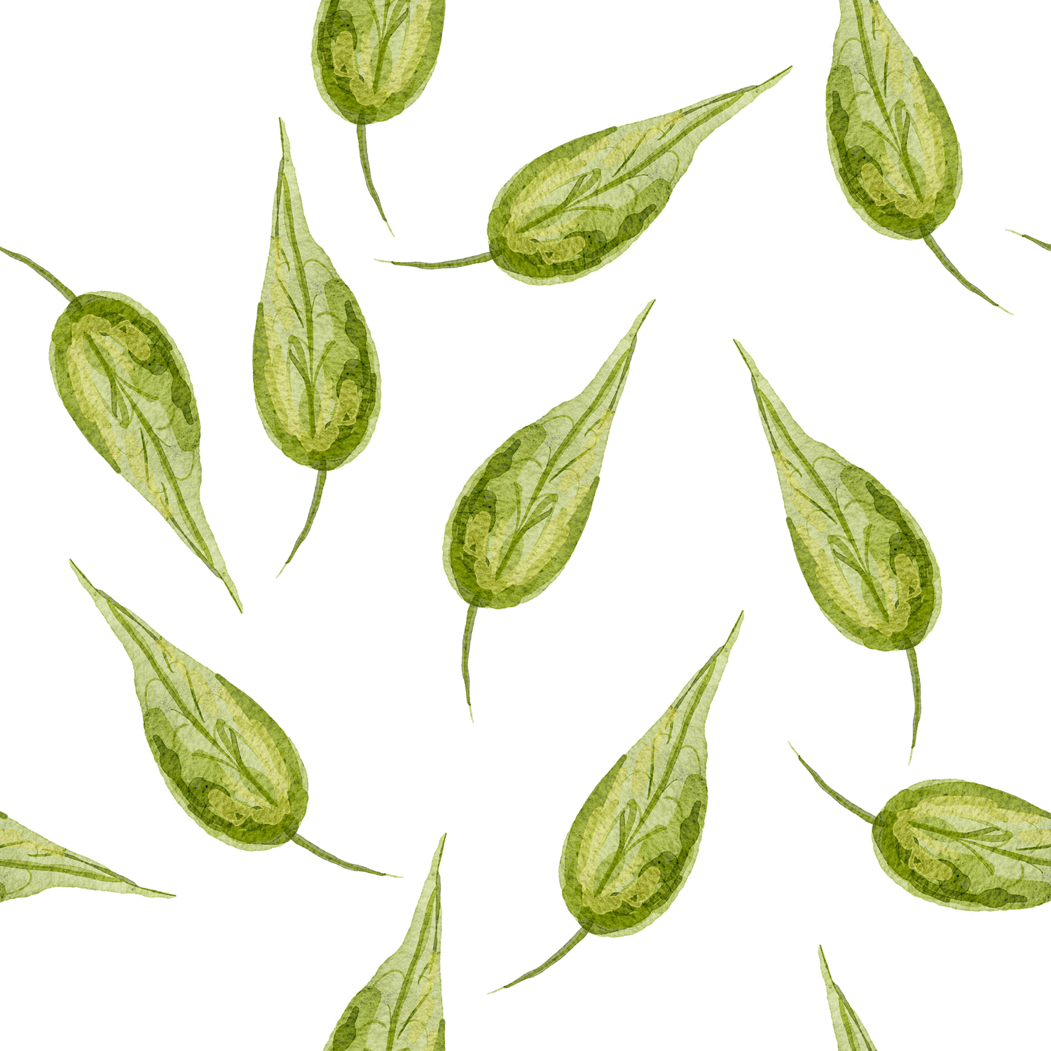 Leaves